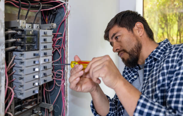 Best Electrical System Inspection  in Lake Shastina, CA